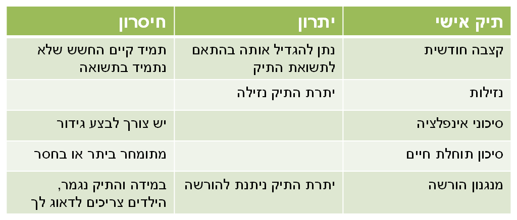 תיק השקעות