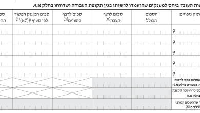 טופס 161 החדש