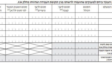 חלק ב בטופס 161