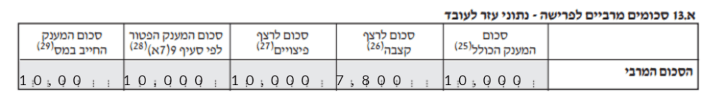 סעיף א.13 בטופס 161
