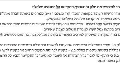 חלק ג בטופס 161